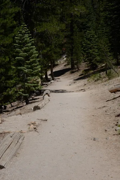 DSC_3715 (Large).JPG